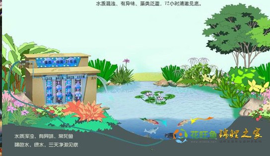 鱼池过滤系统设计图—从日本偷来的锦鲤业者内部资料